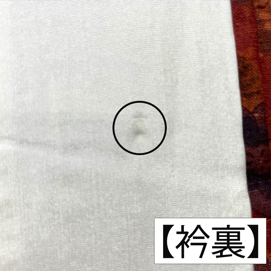 Komon, pure silk, length 161cm, sleeve length 67cm, lined, deep maple leaf color (koimomijiiro), Tsujigahana, with basting thread, S rank, vermilion, 1115005302416