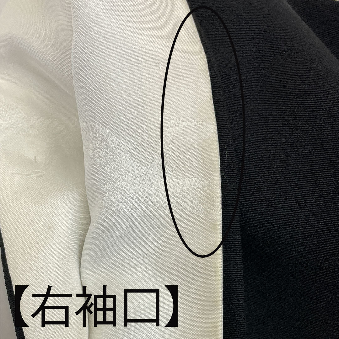 Black formal kimono, length 159.5cm, sleeve length 63.5cm, lined, Kaga Yuzen, Teranishi Kazuhiro, landscape pattern, circle with ivy, pure silk, A rank, five crests, black, 1111000333310