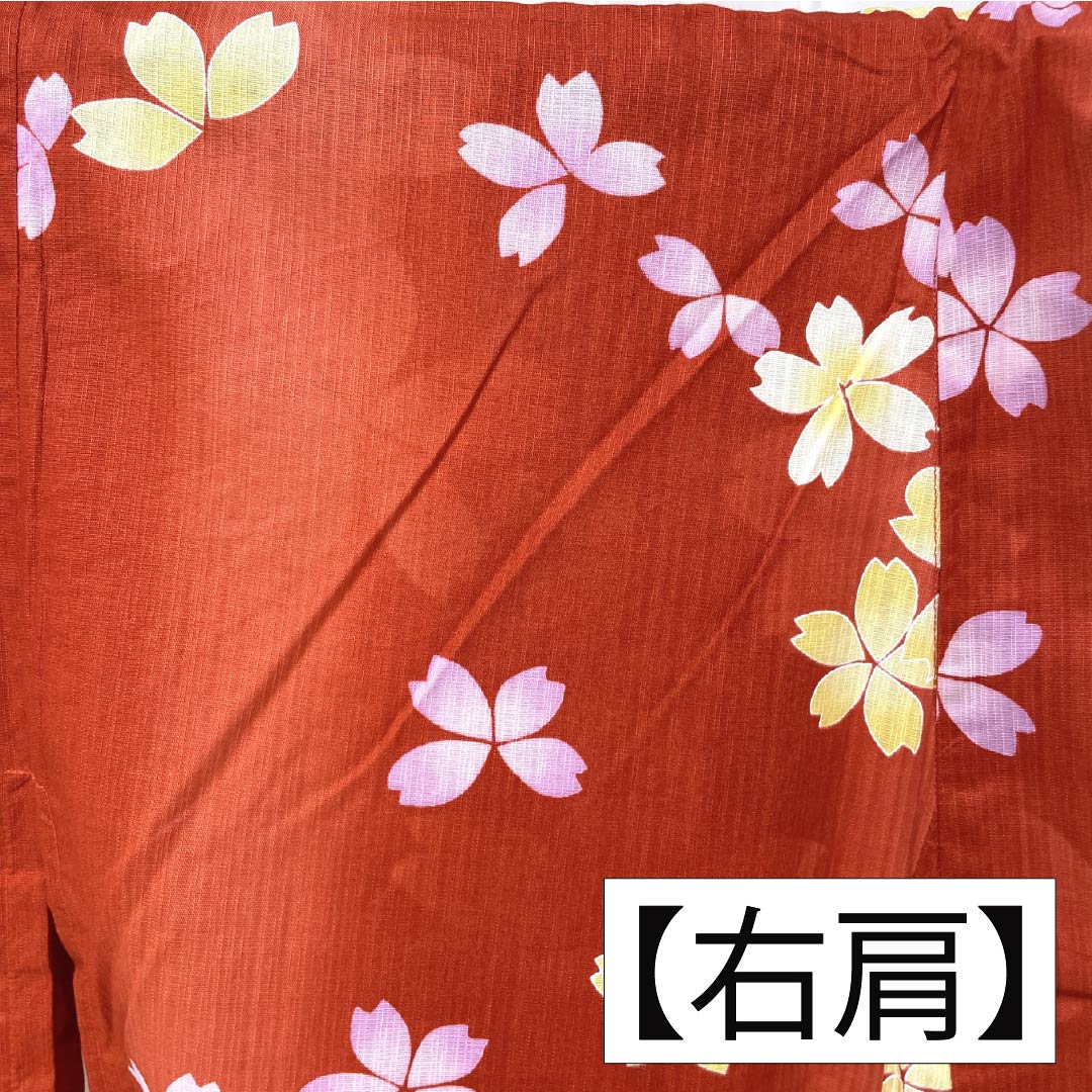 Cotton Yukata, Length 162cm, Sleeve Length 67.5cm, S Rank, Single Layer, Vermilion, Cinnabar, Cherry Blossom Design, 1118006512416