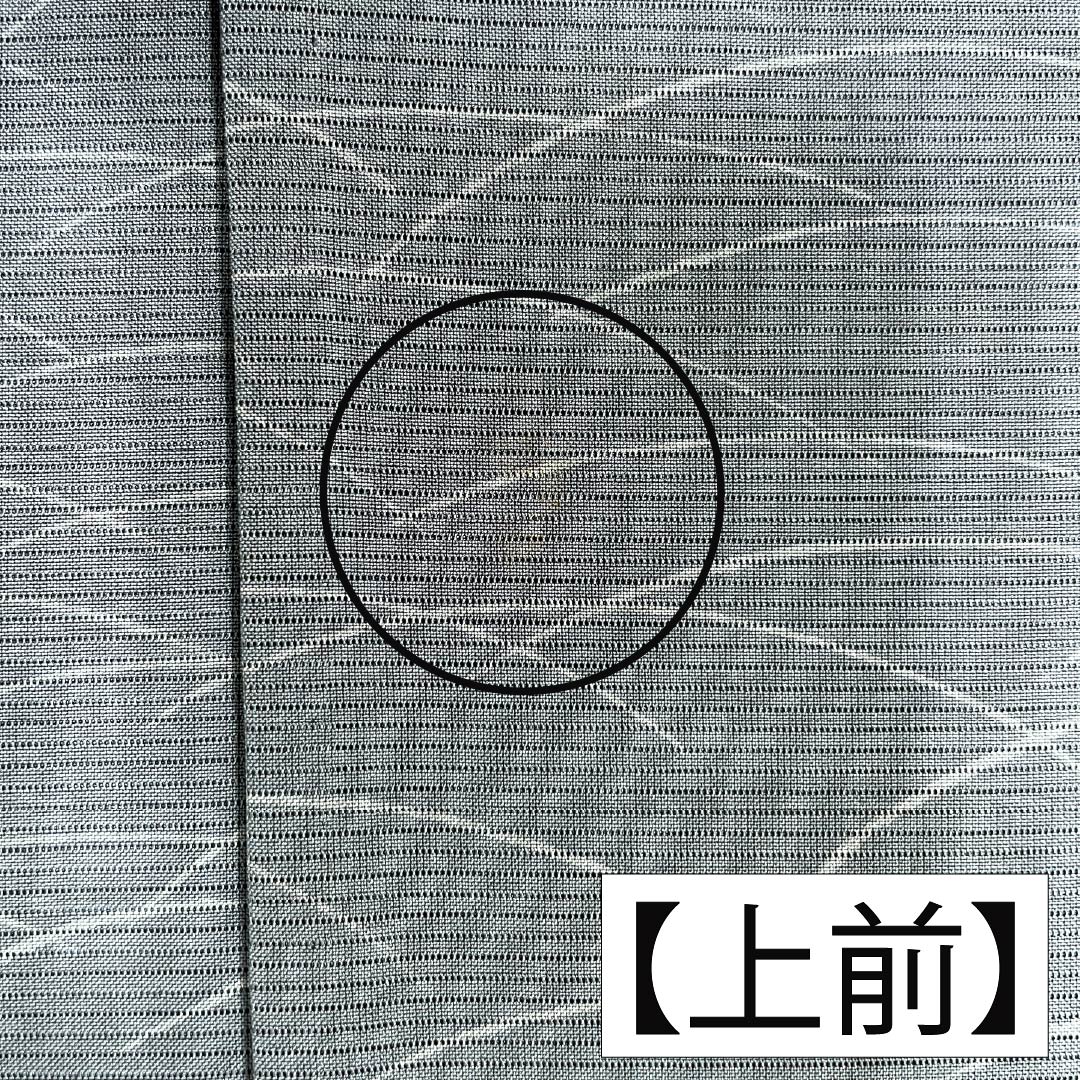 夏物 正絹 小紋 Aランク 身丈157cm 裄丈62cm 浅葱鼠色（あさぎねずいろ） 露芝 絽 緑系 1132004713319