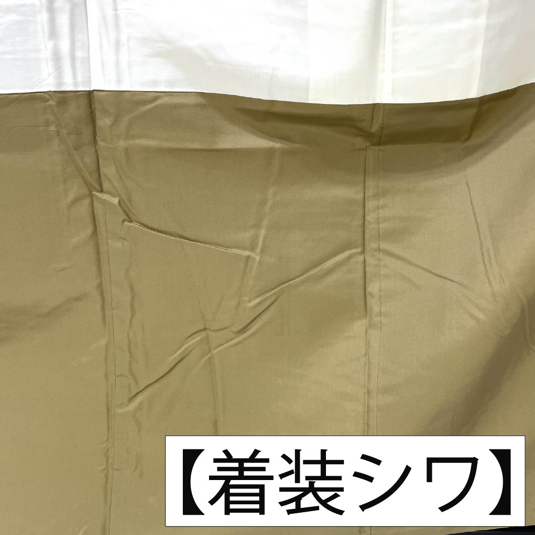 紬 正絹 Sランク 身丈162cm 裄丈65cm 白橡色（しろつるばみいろ） 米沢 ぜんまい紬 はればれ加工 袷 ベージュ系 1116004442425