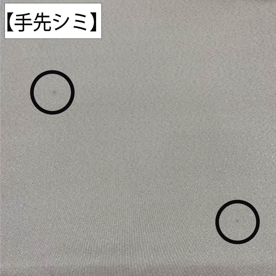 袋帯 正絹 Aランク 生成り色（きなりいろ） 蘇州刺繡 綴れ地 風景模様 銀糸 帯丈468cm ポイント柄 セミフォーマル 白系 1123017533411