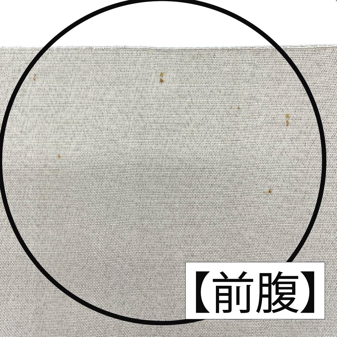 袋帯 正絹 胡粉色（ごふんいろ） 綴れ織 相良刺繍 扇面 牡丹 帯丈448cm Aランク ポイント柄 フォーマル 白系 1123012653311