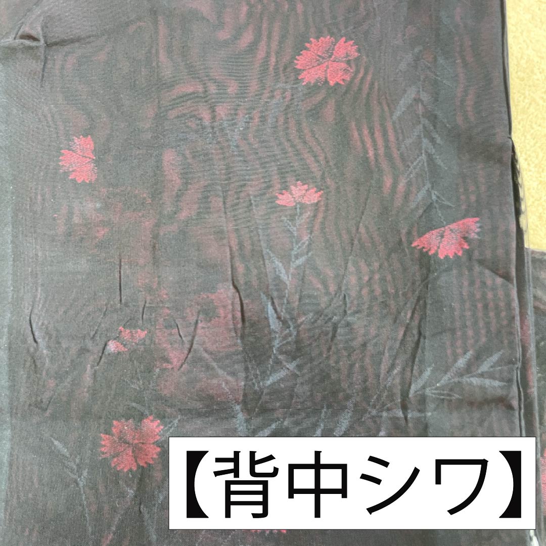 夏物 正絹 お召 Aランク 身丈150.5cm 裄丈63cm コスモス 紗 黒系 1132004653110