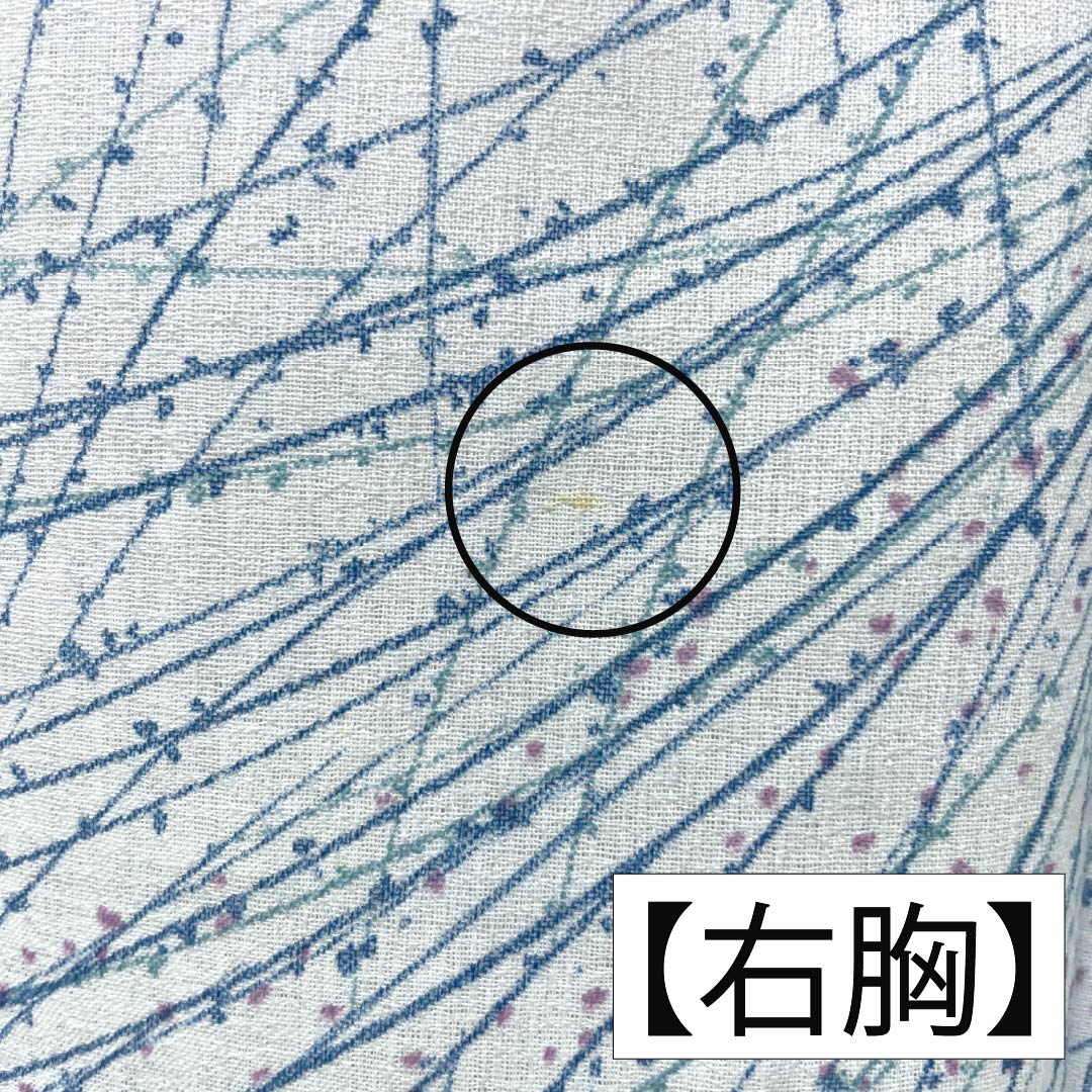 夏物 木綿 小紋 Bランク 身丈156cm 裄丈62cm 蟹鳥染色（かにとりぞめいろ） 抽象模様 紗 水色系 1132004404324