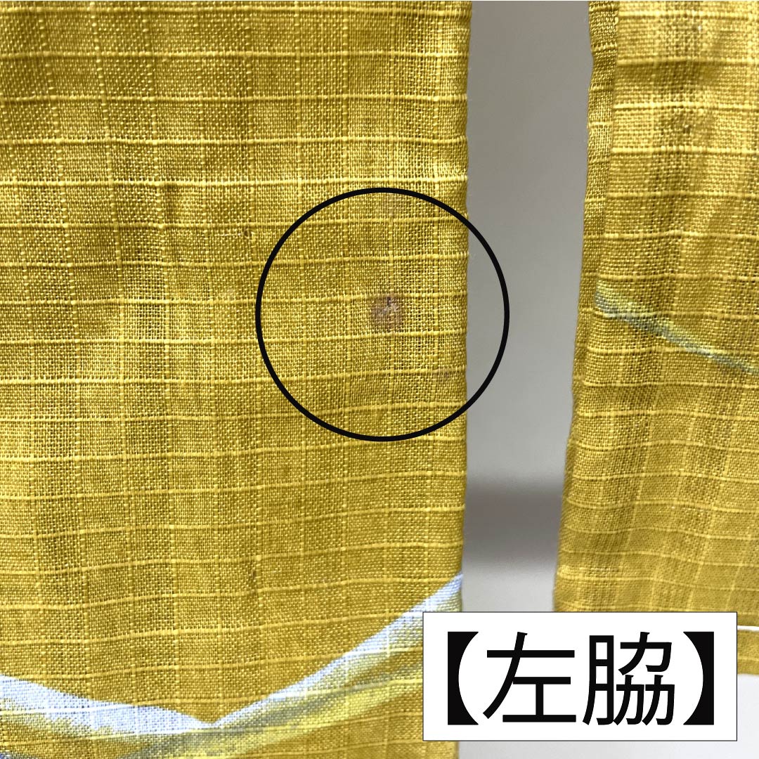 浴衣 木綿 身丈165cm 裄丈65cm Aランク 単衣 黄系 木蘭色（もくらんじき） 草花模様 ラビッサンルーチェ 1118006243523