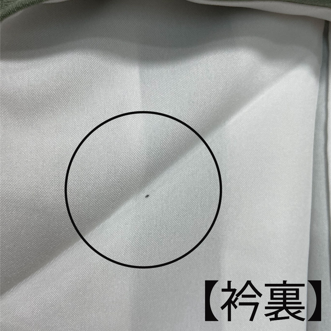 Colored Tomesode, Length 159cm, Sleeve Length 64cm, Lined, Rikyu Gray, Auspicious Pattern, Wave, Plum, Pure Silk, S Rank, None, Green, 1111000462319