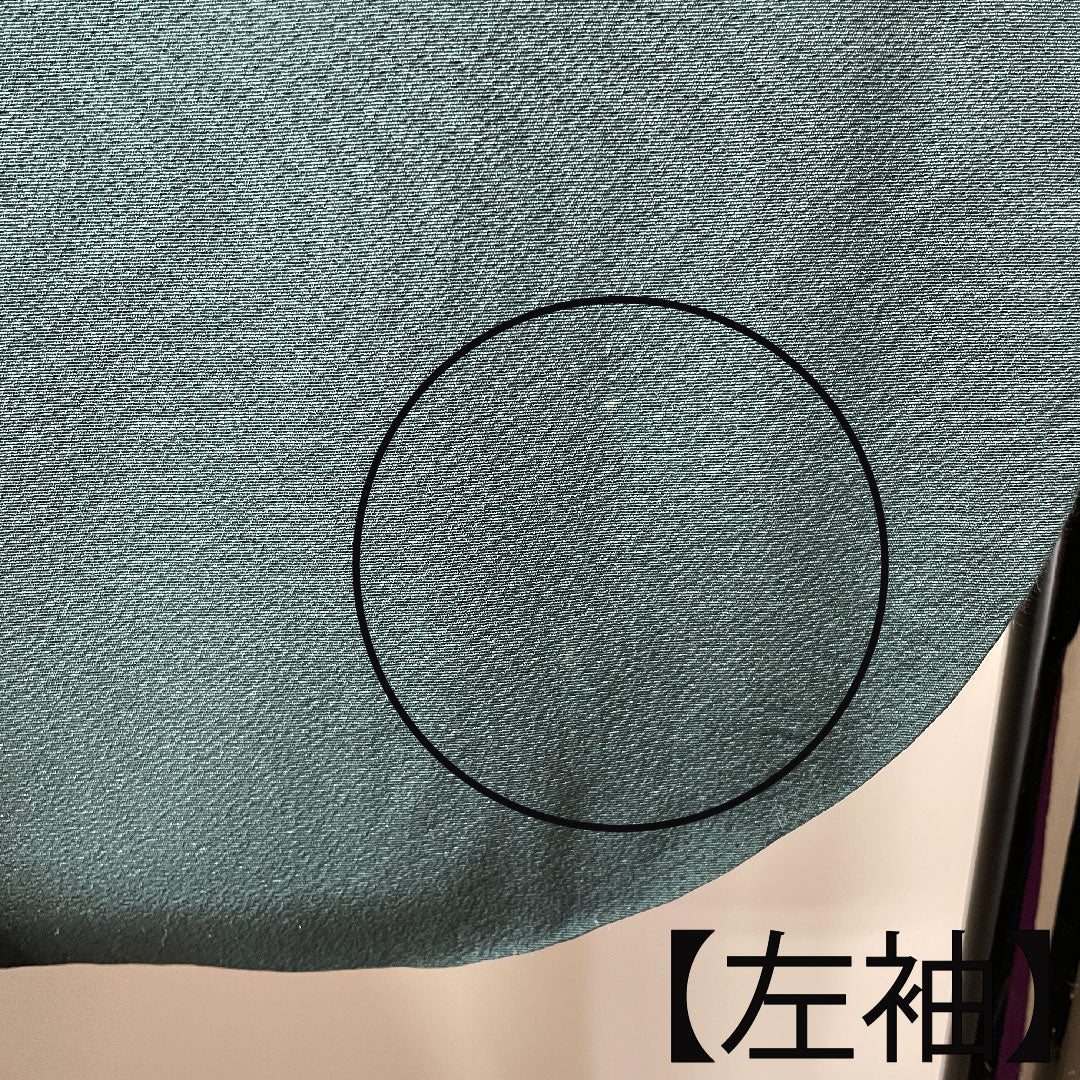 振袖 身丈165cm 裄丈70cm 袷  鉄色 京友禅 花模様  正絹 Aランク 緑系 1113001563519