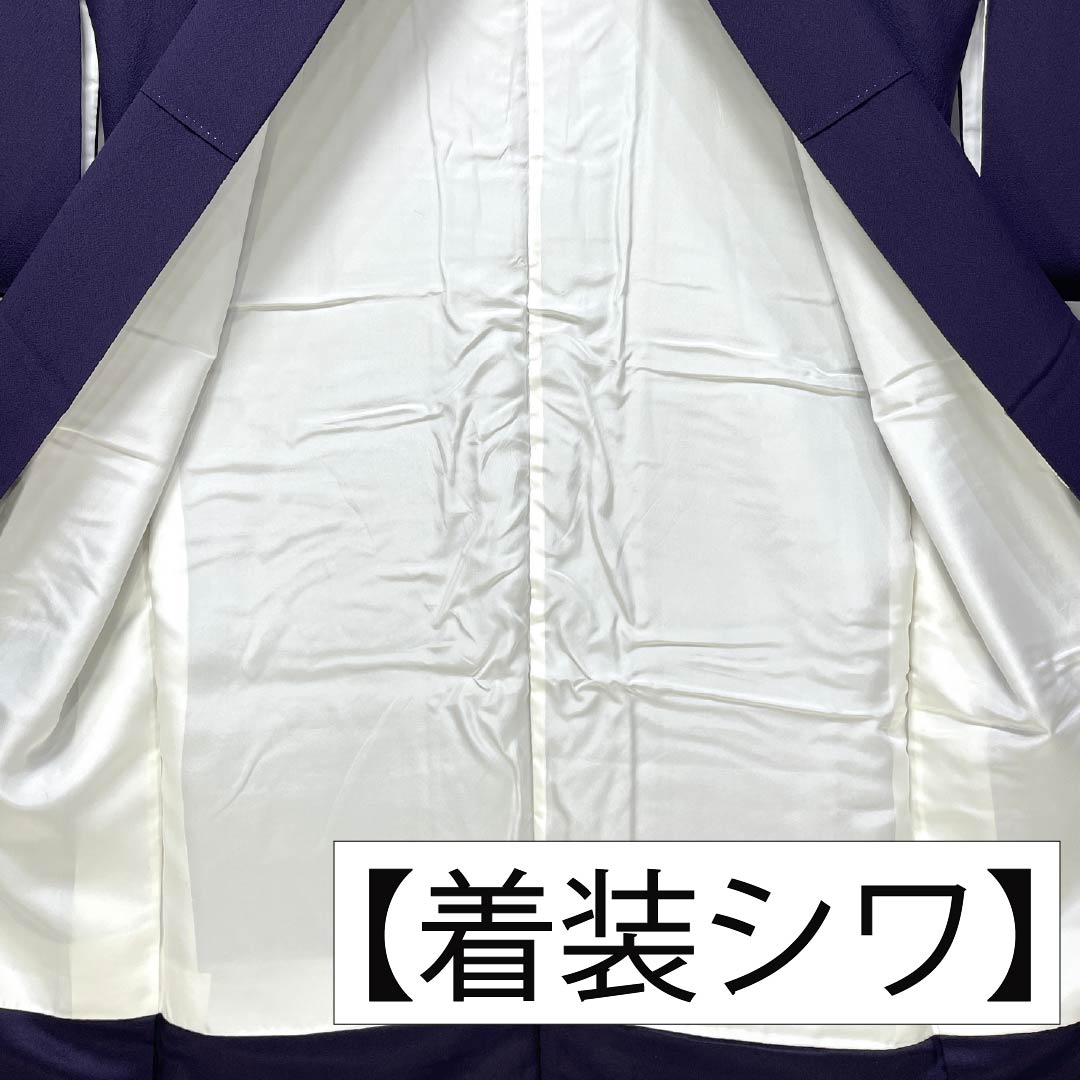 Visiting Kimono (Formal Kimono) - Pure Silk, Grade A, Lined, Length 157.5cm, Sleeve Length 64.5cm, Purple-Eyed, Suzhou Embroidery, Flower Circles, Auspicious Motif, Tsukesage, Purple, Product Number: 1112007233320