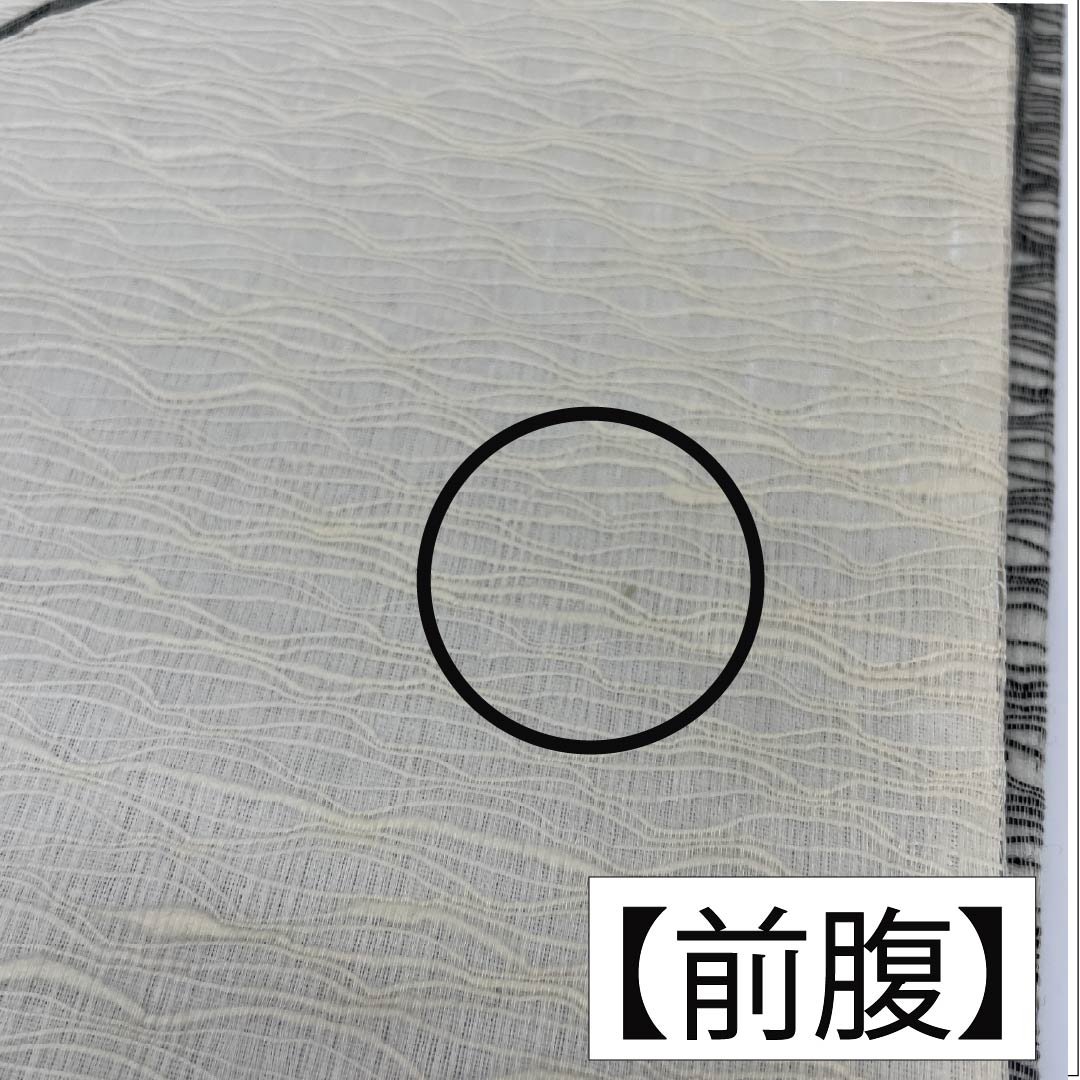 Fukuro Obi, pure silk, off-white, comb weave, abstract pattern, obi length 444cm, A rank, point pattern, casual, monotone, 1123012343327