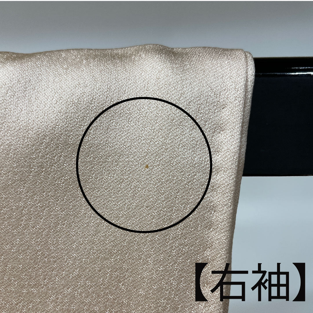 色留袖 身丈161.5cm 裄丈65.5cm 袷 和田光正 金彩友禅 薄肉色 時代風景模様 正絹 Sランク 一つ紋 クリーム系 1111000662415