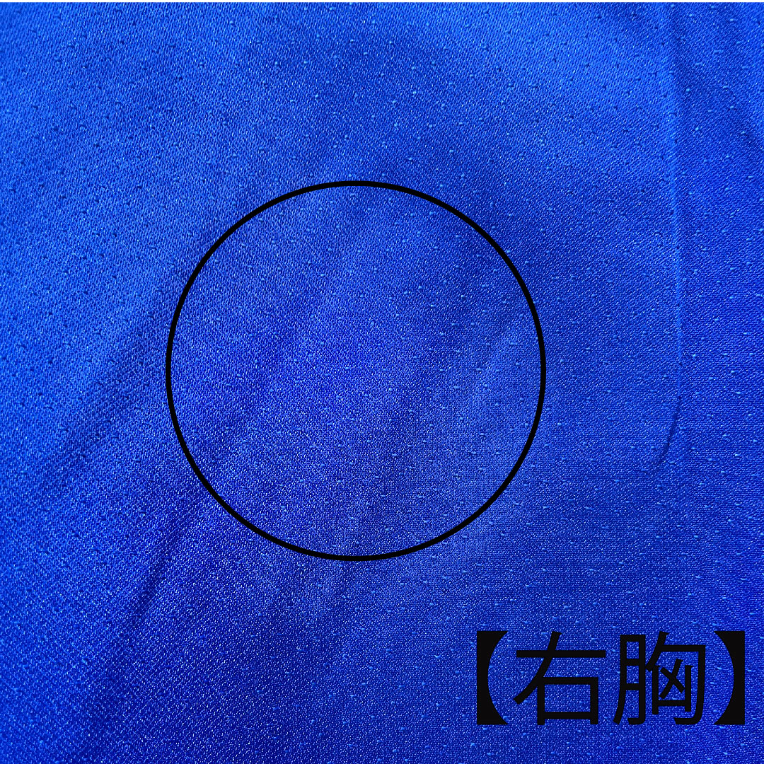 振袖 身丈176.5cm 裄丈64cm 袷  瑠璃色 花鳥模様  正絹 Bランク 紺系 1113001484818