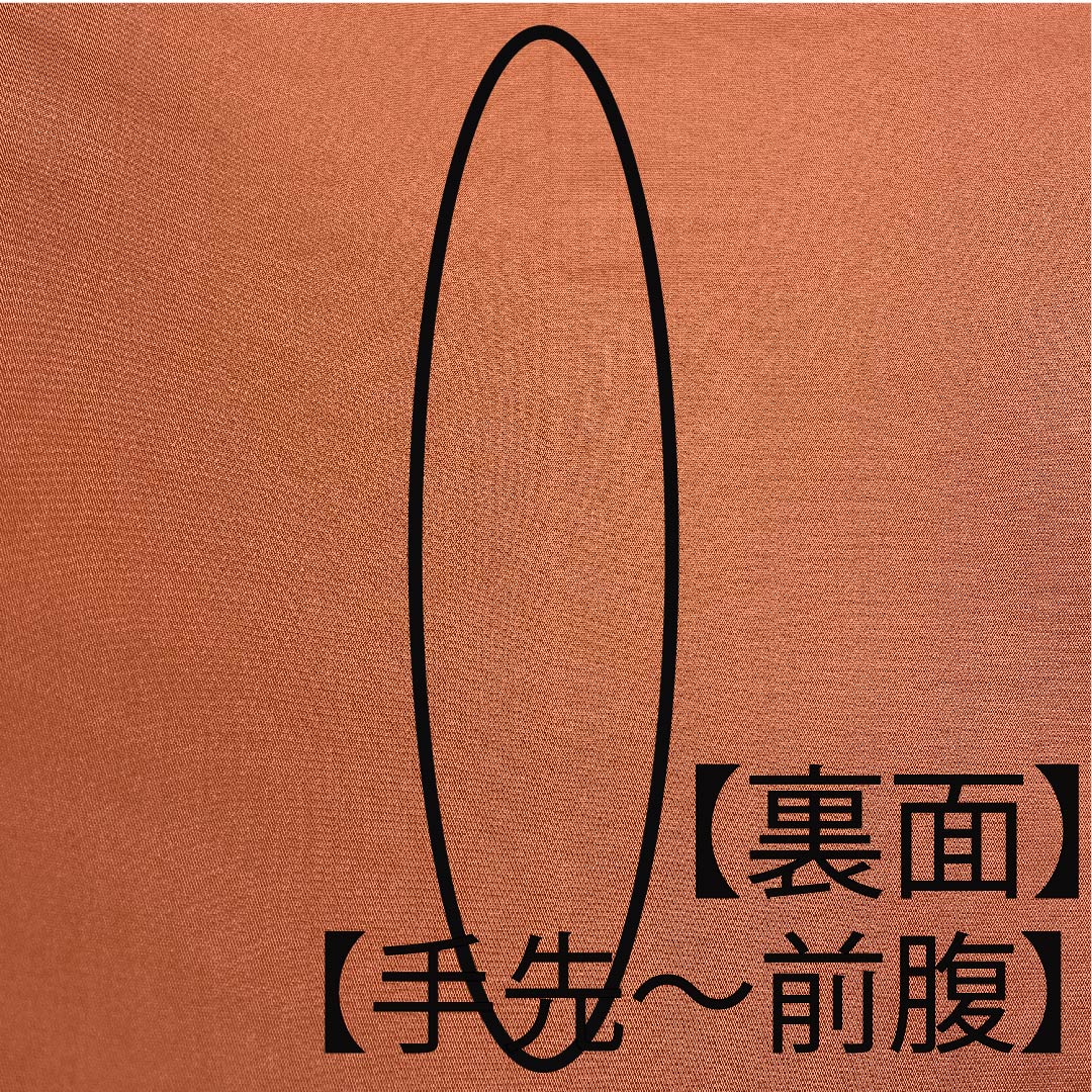 袋帯 纁色（そひいろ） 横段 鳳凰 花唐草 蝶 帯丈430cm 正絹 Aランク 六通 セミフォーマル グラデーション系 1123007963399