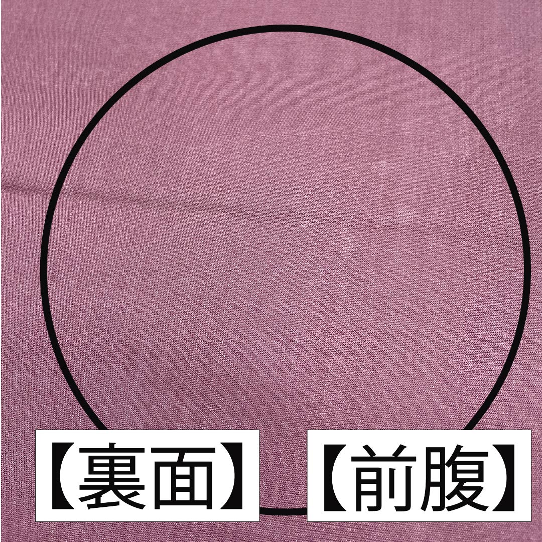 Fukuro Obi (Sash) - Pure Silk - Peony Gray - European Pattern - Obi Length 428cm - B Rank - Six Passes - Semi-Formal - Gold 1123012314321