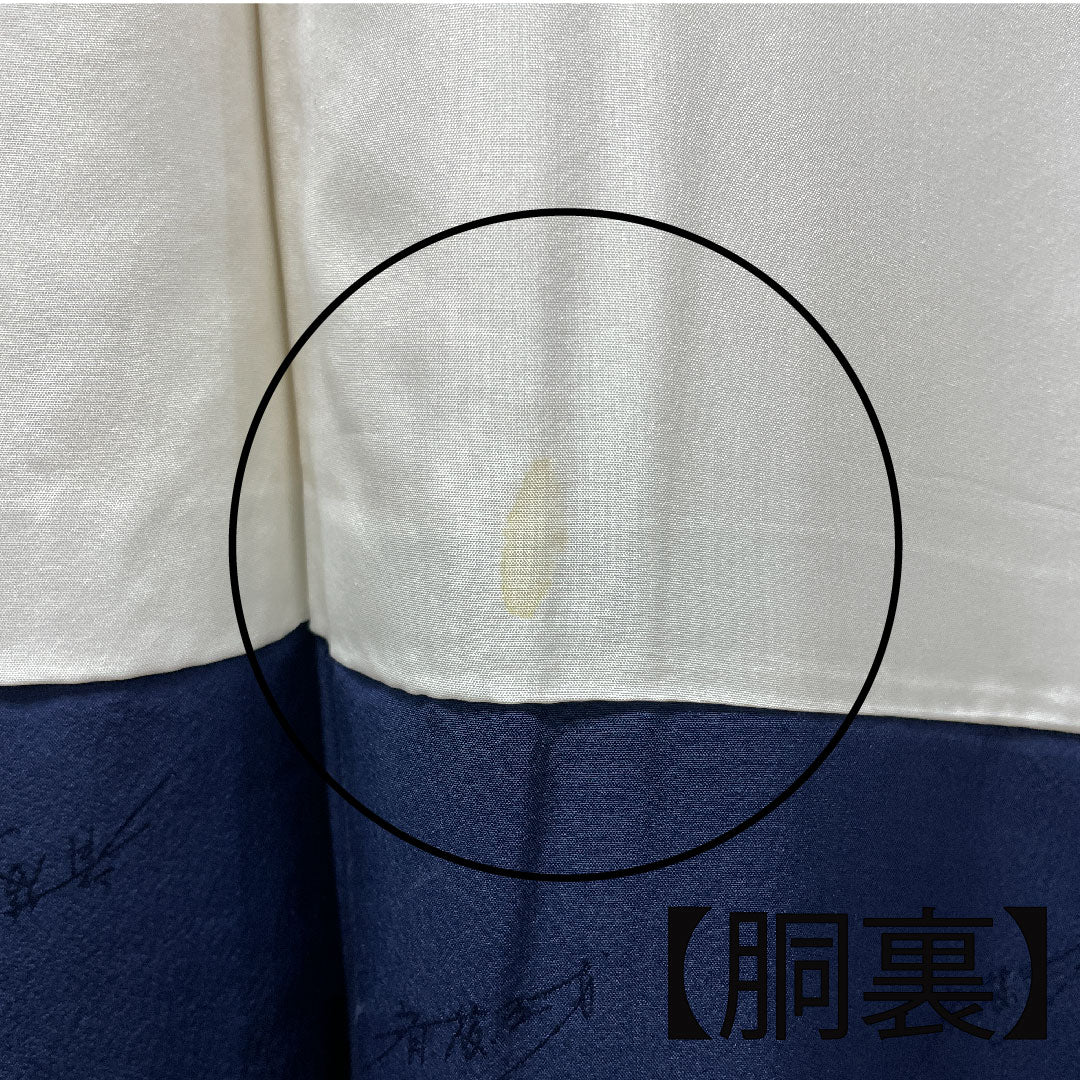 Komon, Length 153cm, Sleeve length 61.5cm, Awase, Saito Sansai, Sarasa pattern, Pure silk, S rank, Gradation, 1115002892299