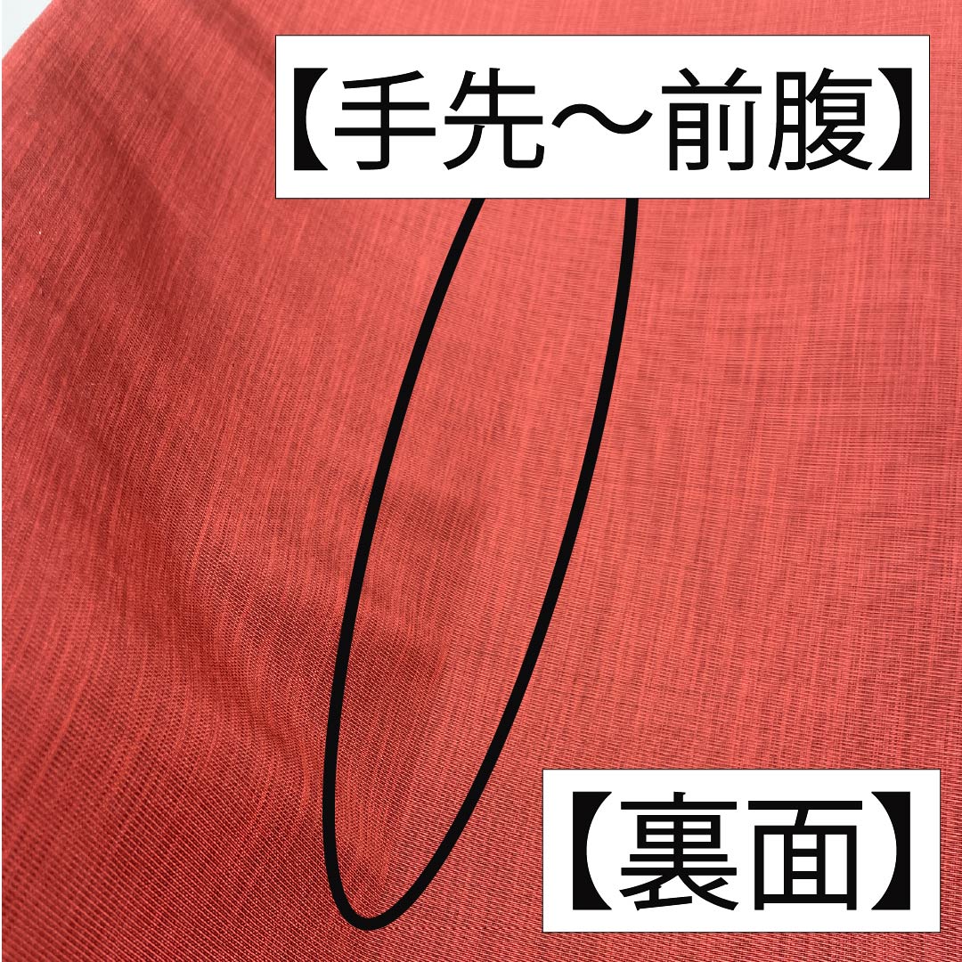 袋帯 正絹 生臙脂色（しょうえんじいろ）  紫烏色色（しうしょくいろ） 丸に七宝 丸に菊 帯丈436cm Sランク 六通 カジュアル 朱系 1123012502316