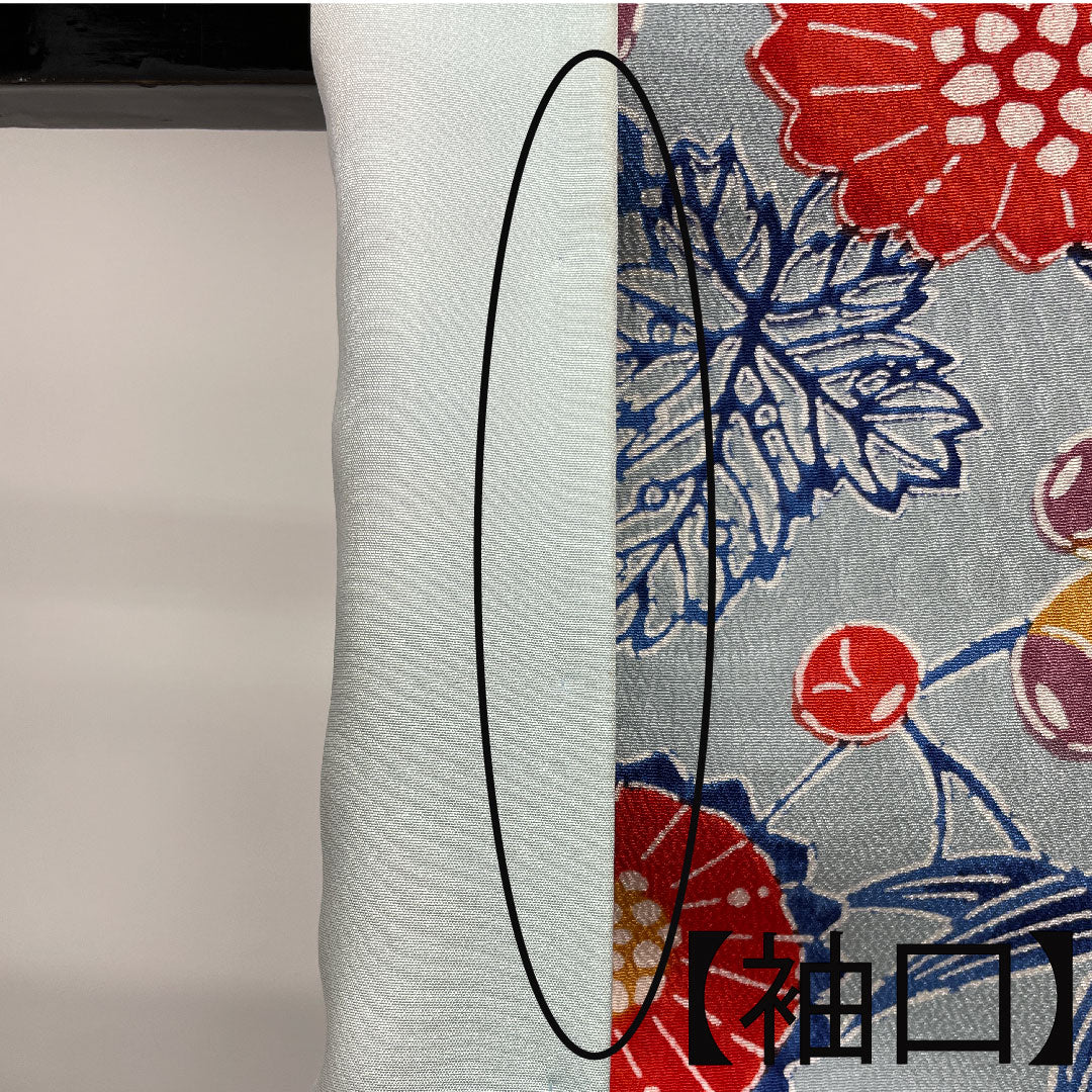 小紋 身丈160cm 裄丈64cm 袷  藍白色 京紅型 蝶 菊  正絹 Aランク 青系 1115003163417