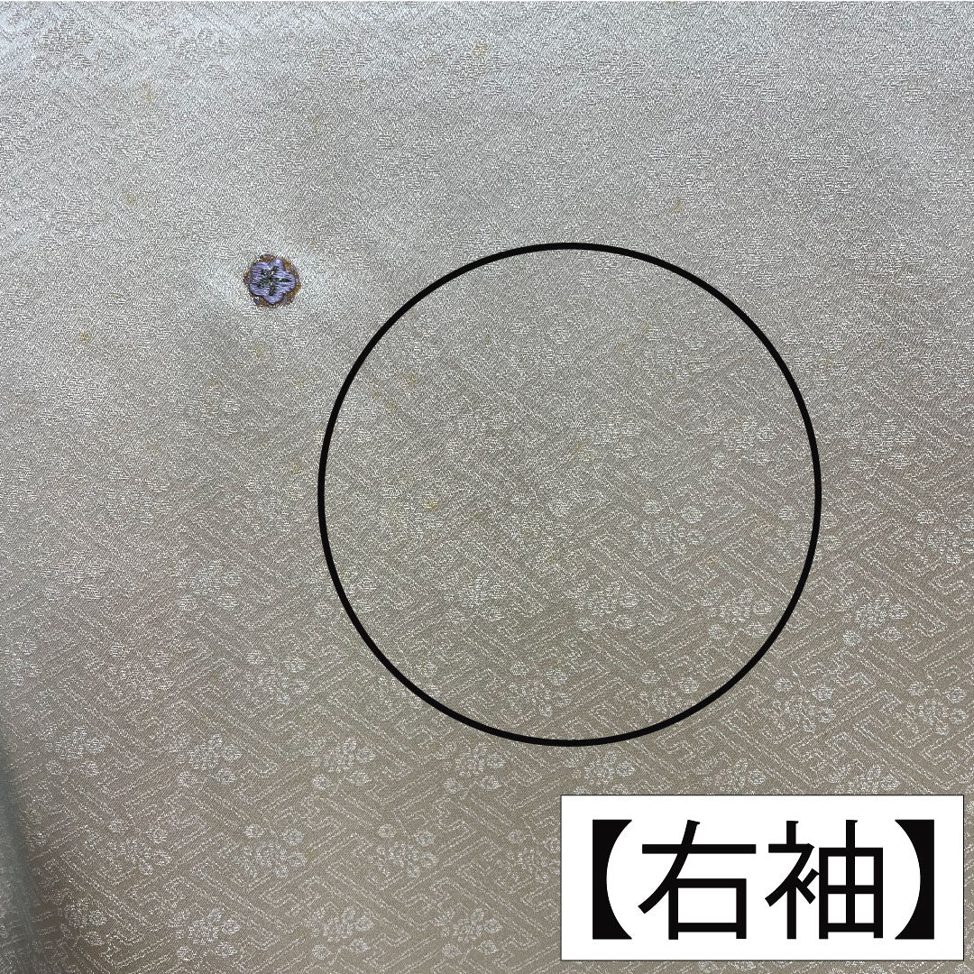 小紋 正絹 身丈162cm 裄丈64cm 袷 薄肉色（うすにくいろ） 京友禅 刺繍 Bランク クリーム系 1115004204415