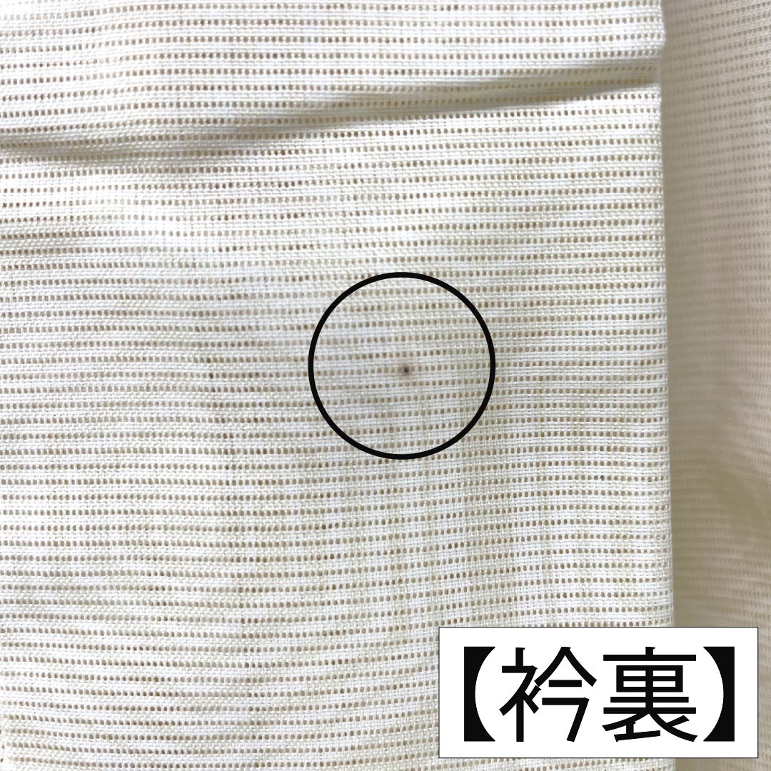 夏物 ポリエステル 小紋 Aランク 身丈158.5cm 裄丈66cm 乳白色（にゅうはくしょく） 蝶 亀甲 絽 クリーム系 1132004543315
