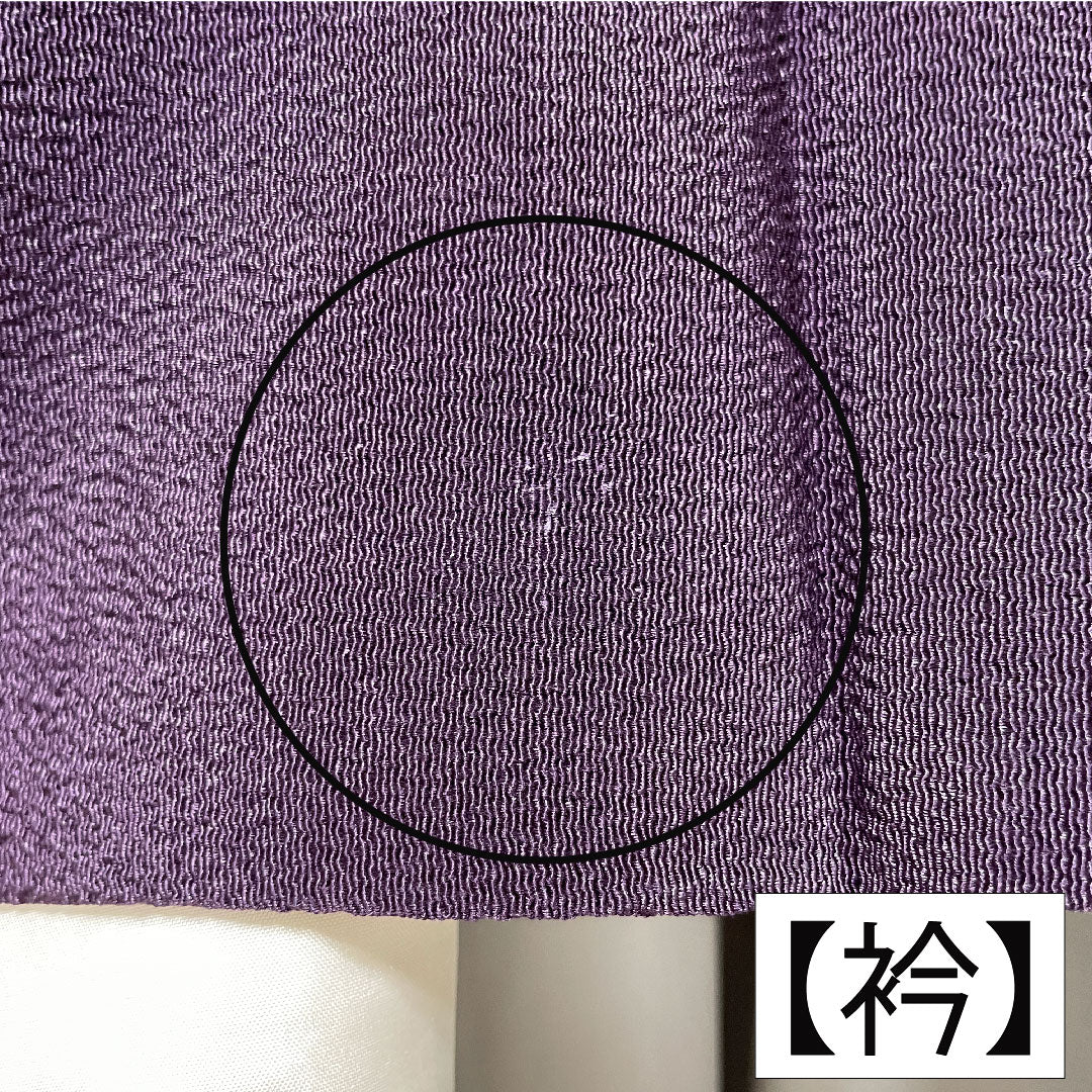 訪問着 正絹 袷 身丈154cm 裄丈62.5cm 茄子紺色（なすこんいろ） 京友禅 ちりめん地 吉祥文様 Aランク 紫系 1112005463220