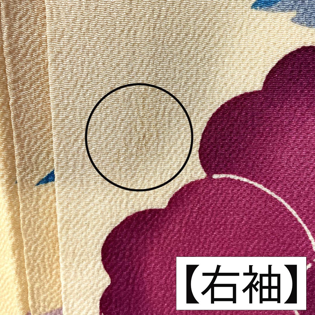 振袖 正絹 Aランク 身丈161cm 裄丈62.5cm 袷 薄柑子色（うすこうじいろ） 京紅型 牡丹 藤 ちりめん地 橙系 1113002403426