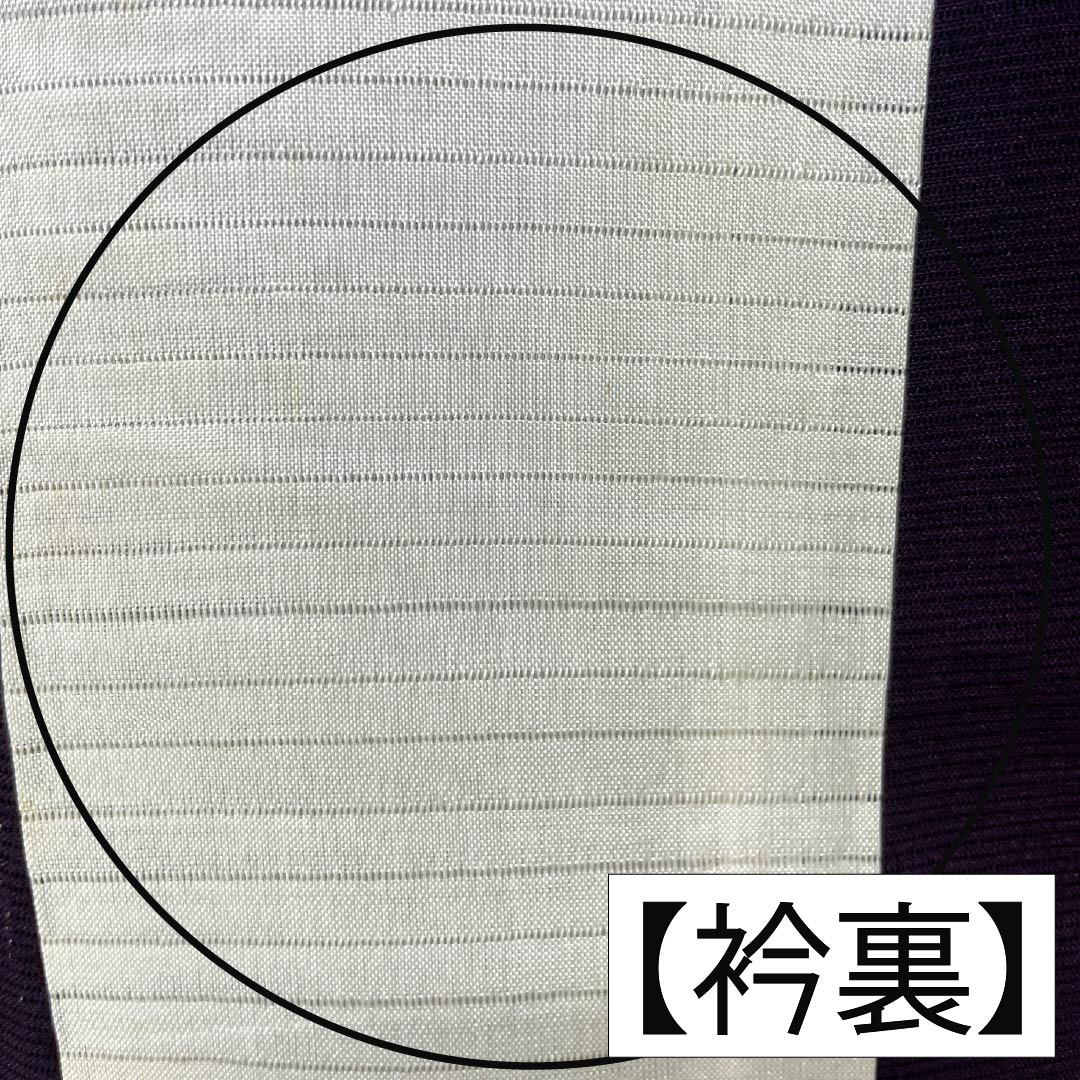 夏物 正絹 色無地 Aランク 身丈160.5cm 裄丈62.5cm 紫烏色（しうしょく） 木の葉 絽 紫系 1132004753420