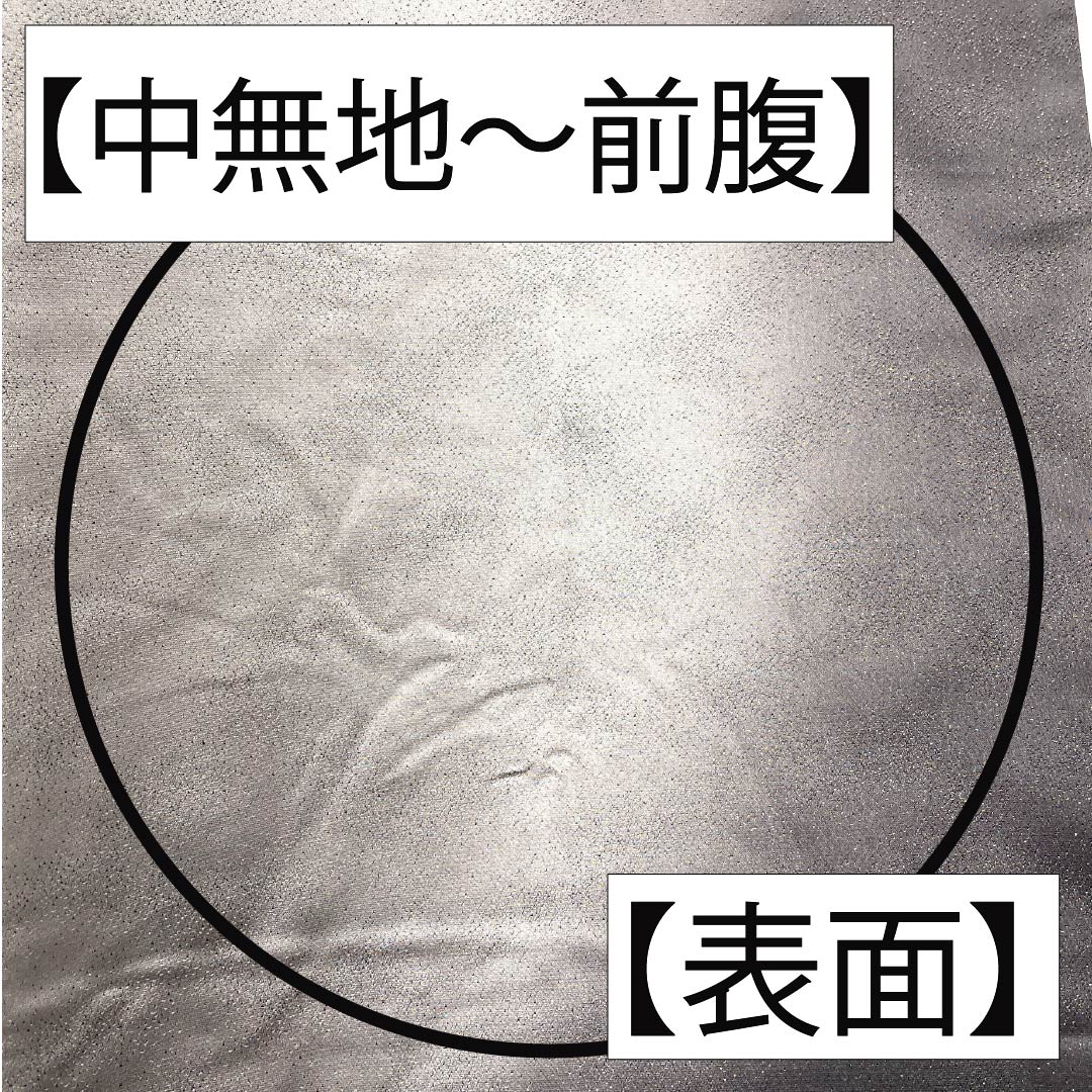 袋帯 正絹 薄鼠色（うすねずいろ） 西陣織 四角模様 疋田 ラメ 帯丈460cm Sランク ポイント柄 セミフォーマル グレー系 1123012632422