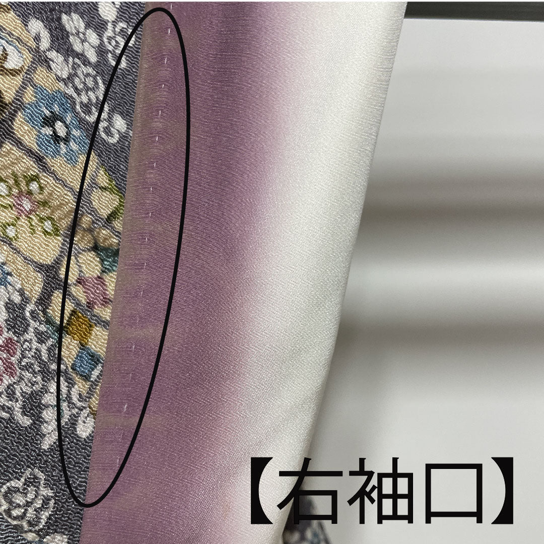 小紋 身丈160.5cm 裄丈62cm 袷 燻銀色 麴色 京紅型  正絹 Aランク グレー系 1115002453422