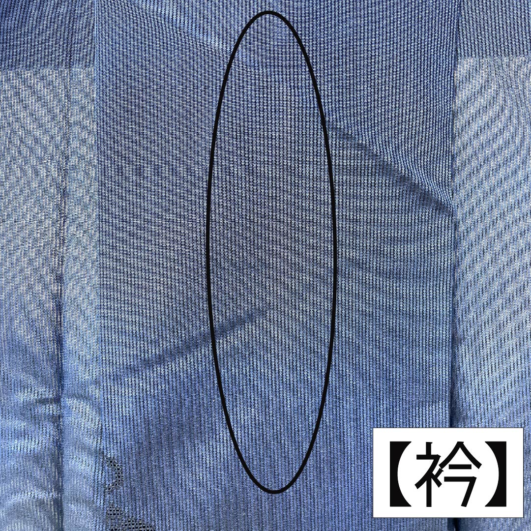 夏物 正絹 色無地 Aランク 身丈155cm 裄丈64cm 紺色（こんいろ） 花筏 紋紗 紗 紺系 1132003783318