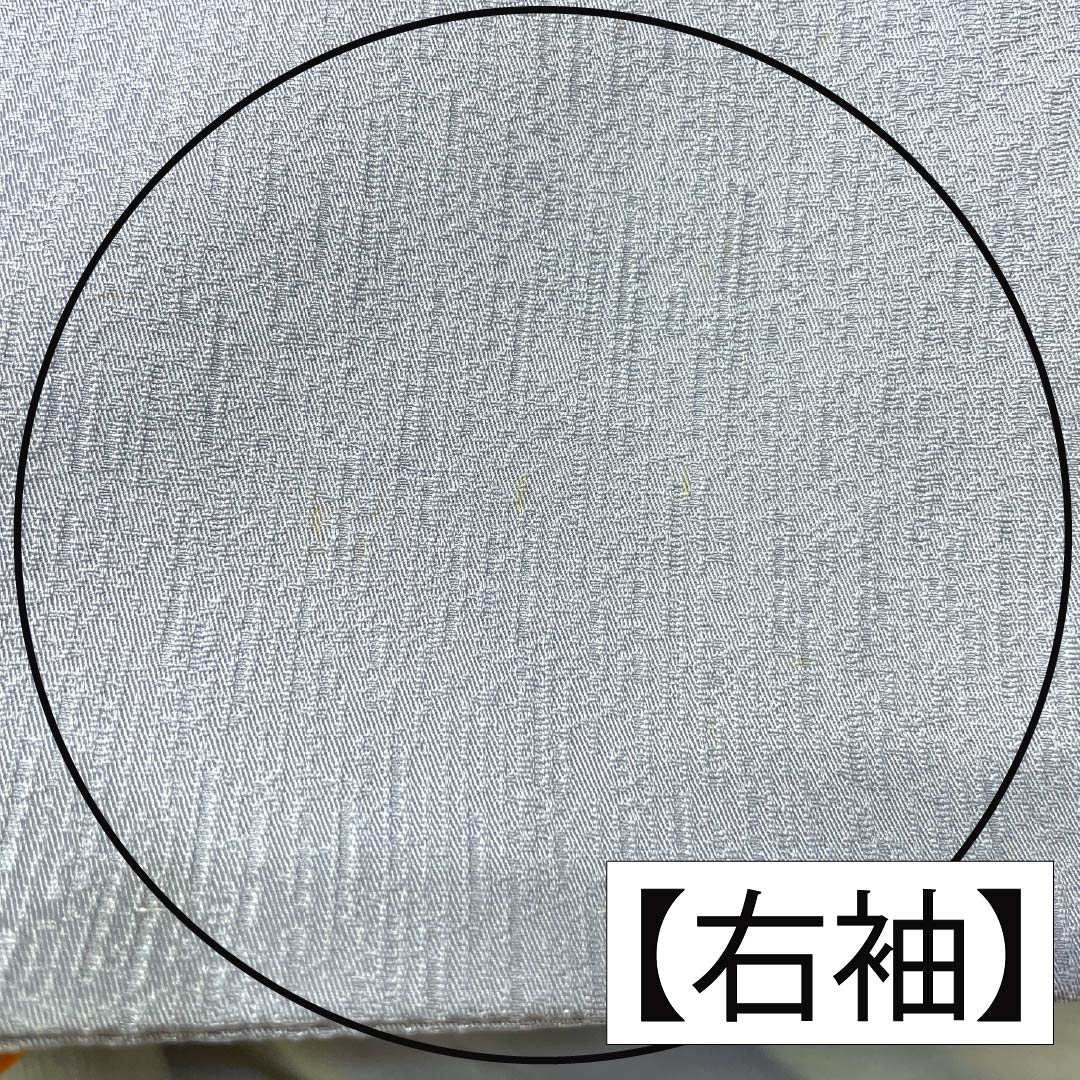 訪問着 正絹 Bランク 袷 身丈168cm 裄丈62cm 白銅色（はくどういろ） 蘇州刺繡 草花 流水 しつけ糸付き グレー系 1112007524522