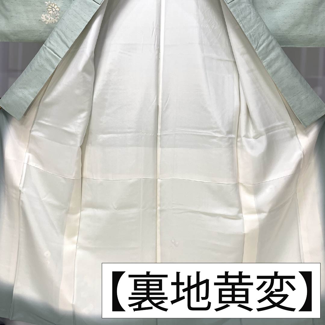 訪問着 正絹 Aランク 袷 身丈155cm 裄丈61cm 薄緑色（うすみどりいろ） 牛首紬 一つ紋 中陰蔦 草花 緑系 1112007533319