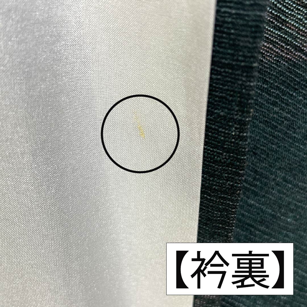 夏物 綿麻 紬 身丈163cm 裄丈67.5cm 鉄色（てついろ） 竹の葉 紗 Aランク 緑系 1132002823419