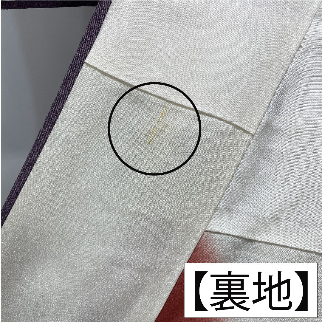 訪問着 正絹 袷 身丈154.5cm 裄丈67cm 滅紫色（けしむらさきいろ） 辻ヶ花 Aランク 紫系 1112004753220