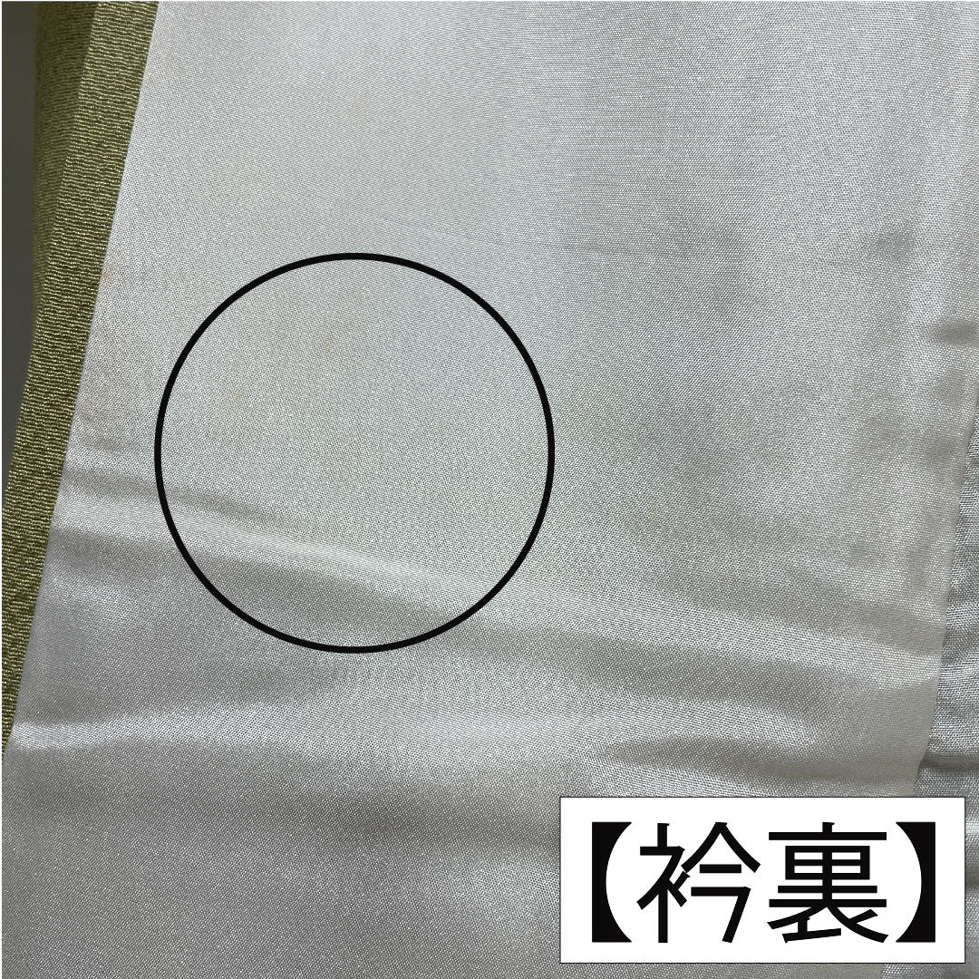 訪問着 正絹 袷 身丈162cm 裄丈62.5cm 薄柳色（うすやなぎいろ） 辻ヶ花 ちりめん地 重ね衿付き しつけ糸付き Sランク 緑系 1112005202419