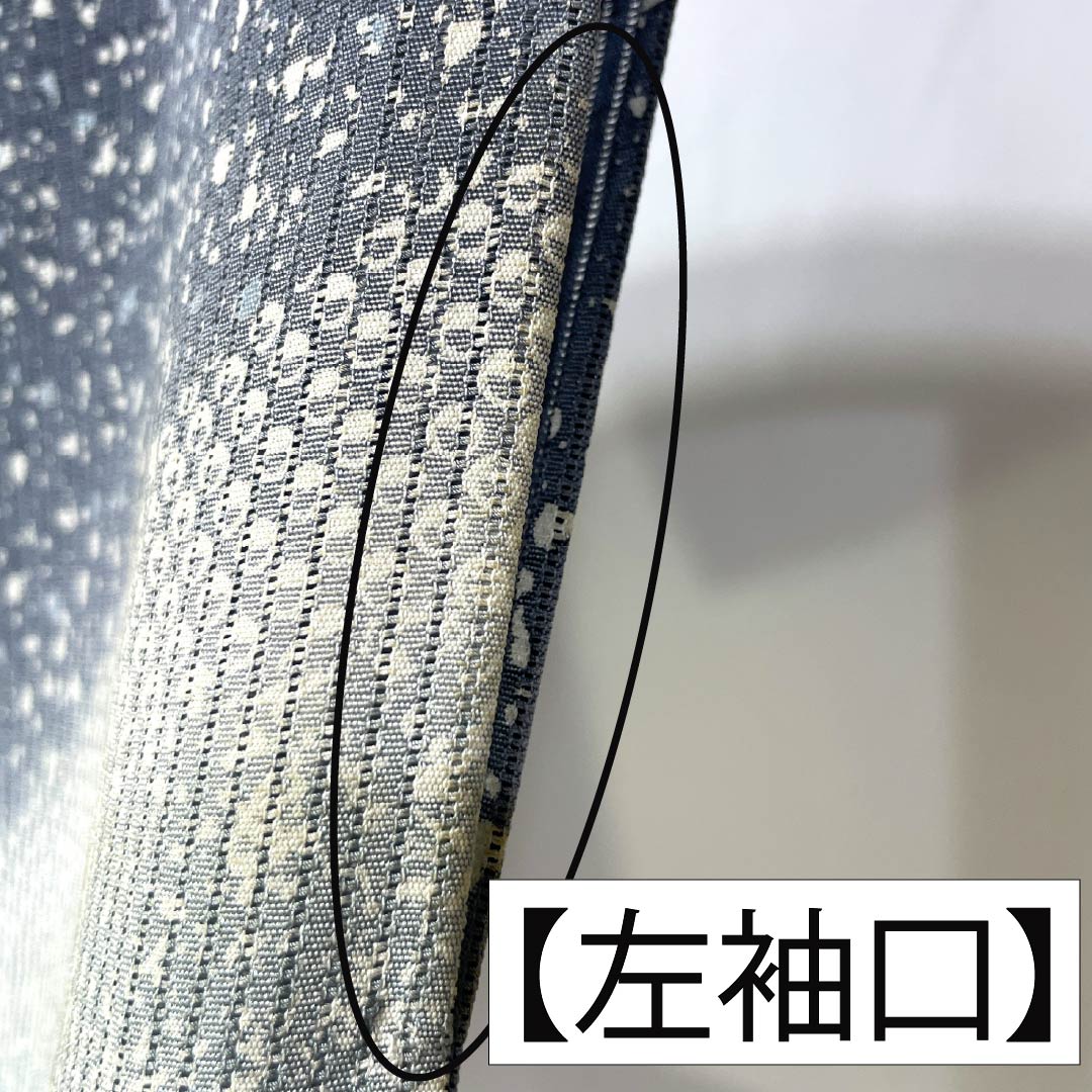 夏物 正絹 訪問着 Aランク 身丈161.5cm 裄丈66cm 浅葱鼠色（あさぎねずいろ） 竪絽 江戸小紋 タタキ染 絽 青系 1132005043417
