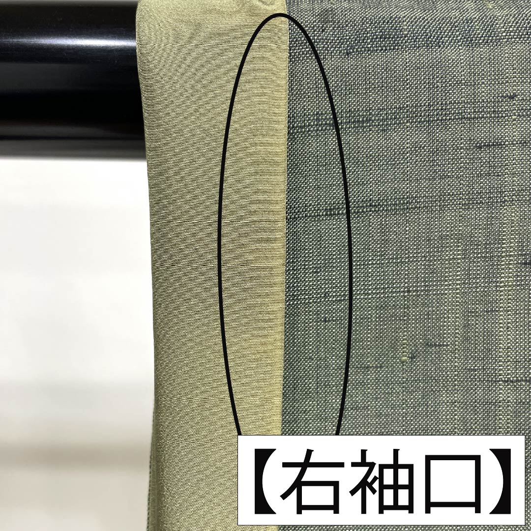 訪問着 正絹 Aランク 袷 身丈156cm 裄丈66cm 岩井茶色（いわいちゃいろ） 付下げ すくい織 紬地 作家物 野菜 緑系 1112007803319