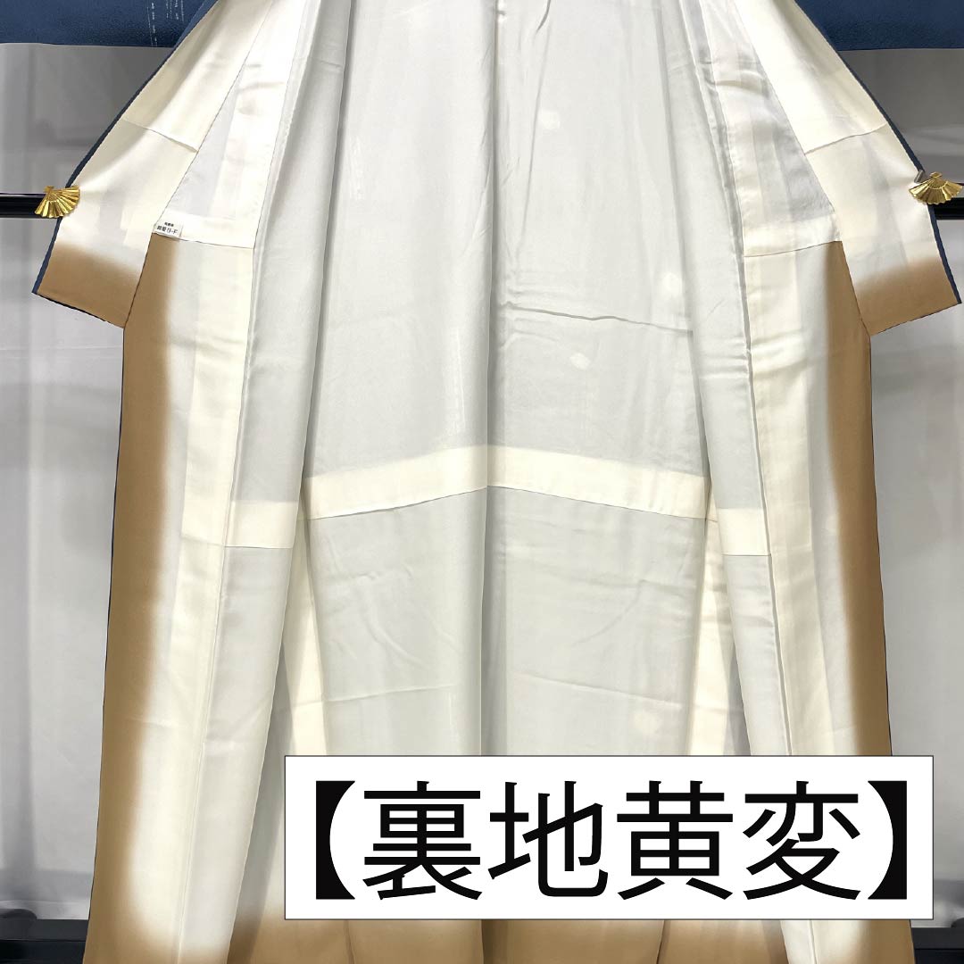 小紋 正絹 身丈161.5cm 裄丈65cm 袷 裏色（うらいろ） 型染 抽象柄 絹姫ガード Aランク 青系 1115005553417