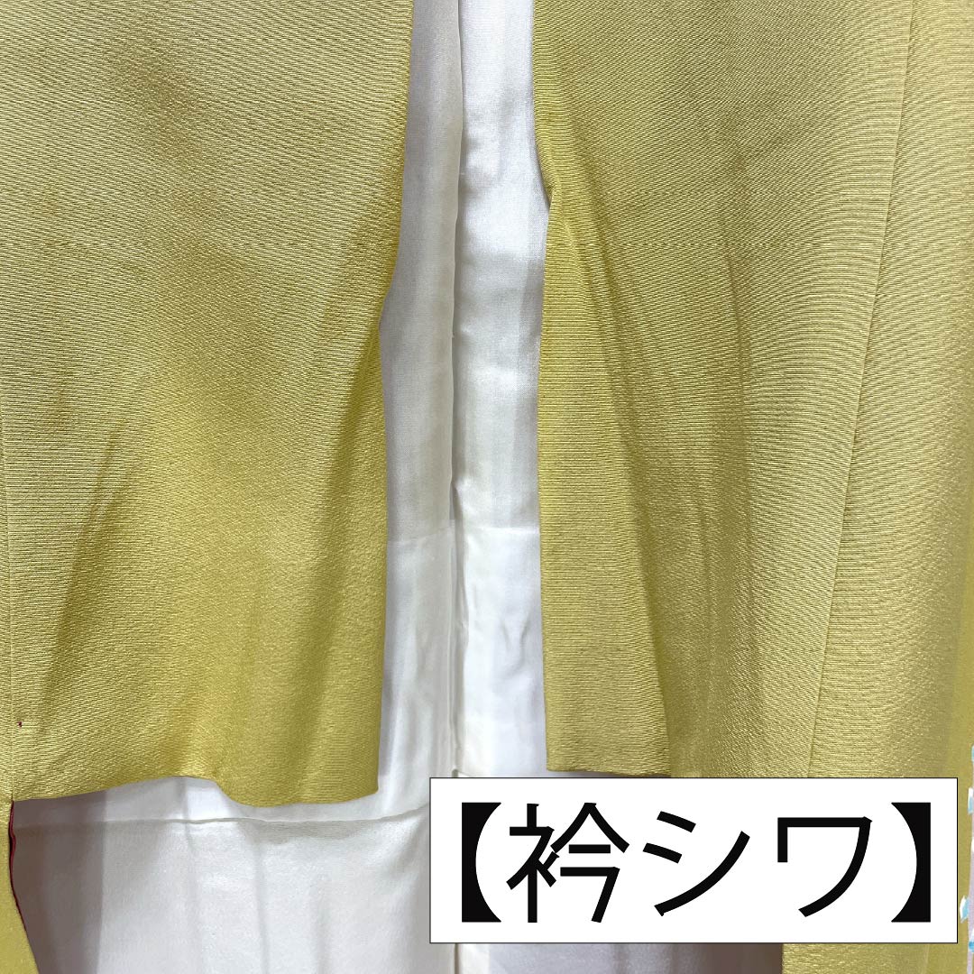 訪問着 正絹 Sランク 袷 身丈149.5cm 裄丈63cm 卵色（たまごいろ） 加賀友禅 手描き 峰山 作家物 草花 黄系 1112007262123