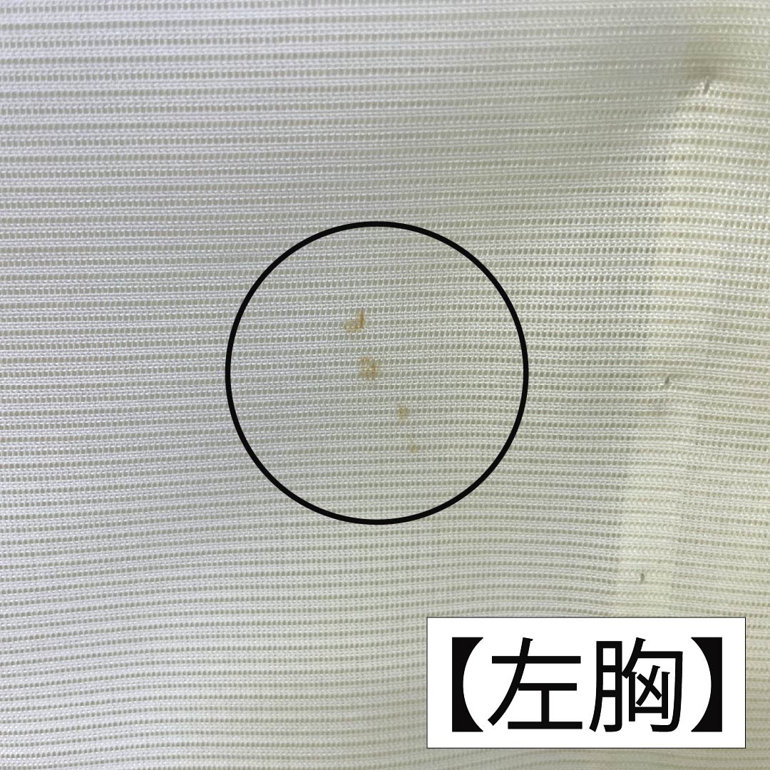 夏物 ポリエステル 訪問着 Aランク 身丈160.5cm 裄丈63cm 白百合色（しらゆりいろ） 竹 付下げ 洗える着物 絽 黄系 1132003453423