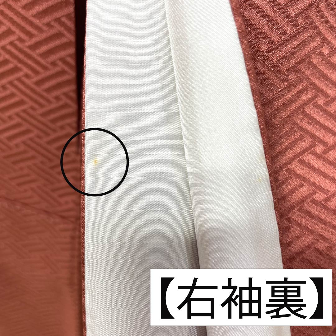 訪問着 正絹 Aランク 袷 身丈164cm 裄丈64.5cm 甚三紅色（じんざもみいろ） 京友禅 金駒刺繡 銀駒刺繍 絞り 蝶 赤系 1112007393412