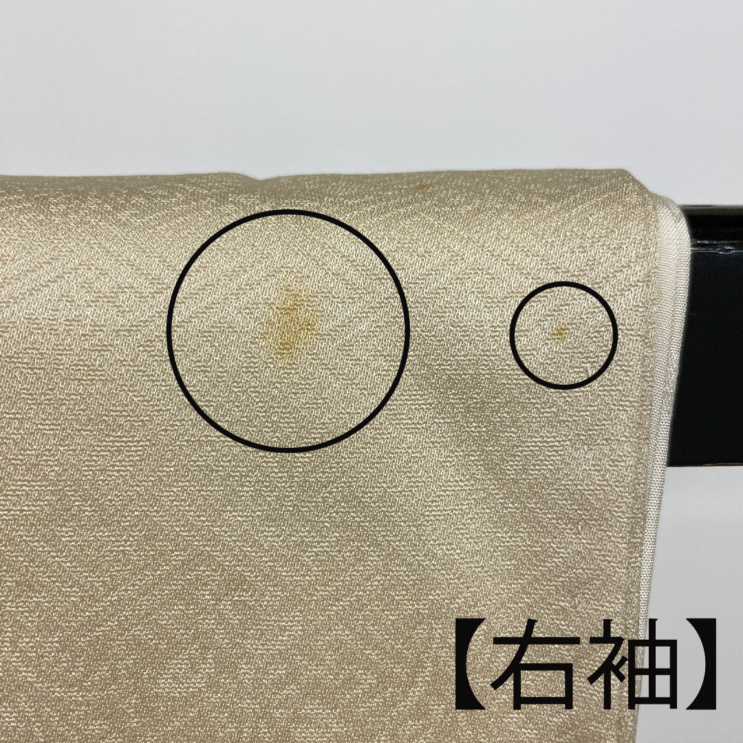 Colored Tomesode, Length 157cm, Sleeve Length 64cm, Lined, Tokyo Yuzen, Pure Silk, B Rank, Three Crests, Cream Color, 1111000284315