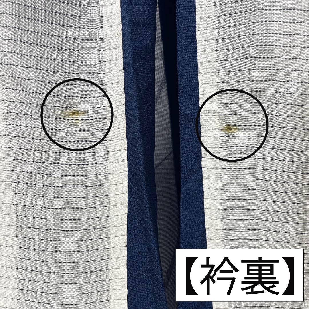 夏物 正絹 色無地 Aランク 身丈158.5cm 裄丈62cm 韓藍色（からあいいろ） 抽象模様 紗 青系 1132004383317
