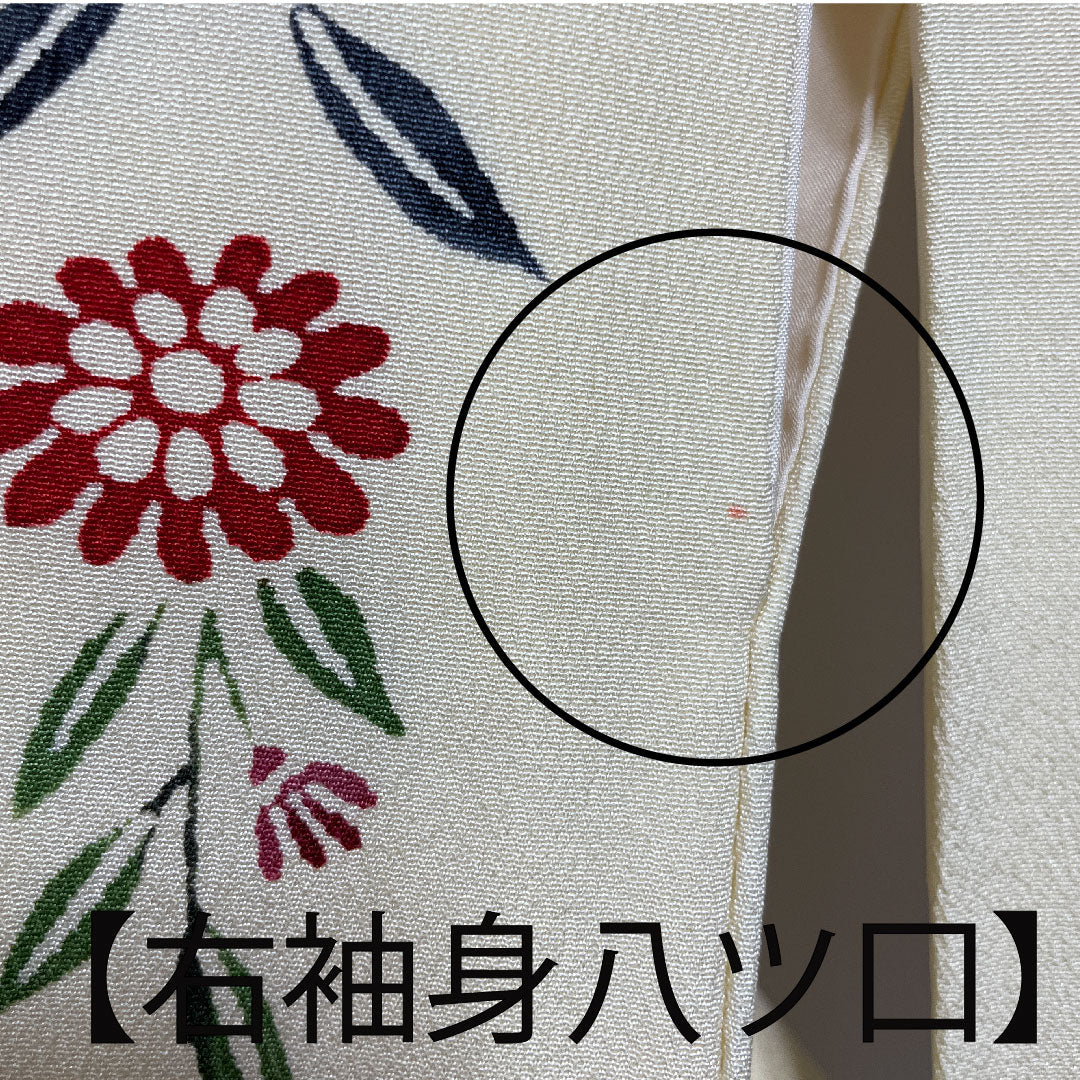 Homongi, lined, length 159cm, sleeve length 62.5cm, Torinoko color, Kyoto Bingata, floral pattern, pure silk, A rank, cream color, 1112001943315