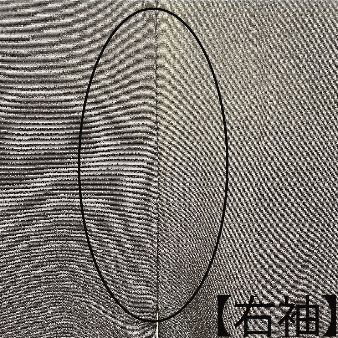 黒留袖 正絹 身丈163.5cm 裄丈66cm 袷  金駒刺繡 菊 揚羽蝶 五つ紋 Bランク 五つ紋 黒系 1111001194410