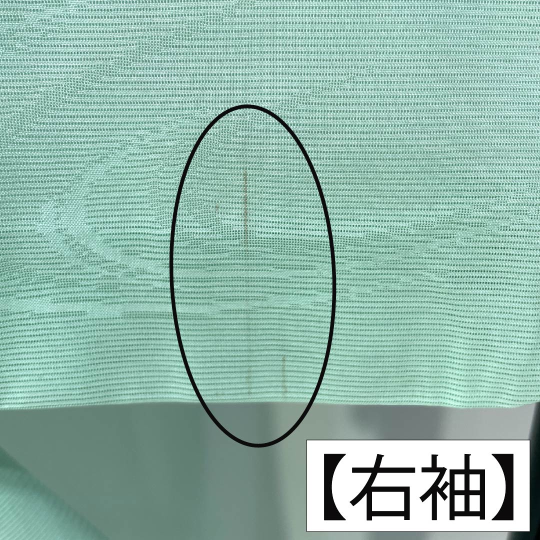 夏物 正絹 色無地 Aランク 身丈155.5cm 裄丈64cm 薄緑色（うすみどりいろ） 素無地 一つ紋 上り藤に一文字 絽 緑系 1132004743319