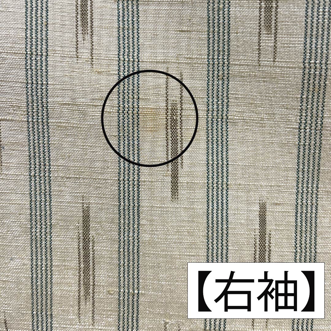 紬 正絹 Aランク 身丈171cm 裄丈68cm 鳥の子色（とりのこいろ） 真綿紬 縞 絣 袷 ベージュ系 1116004233625