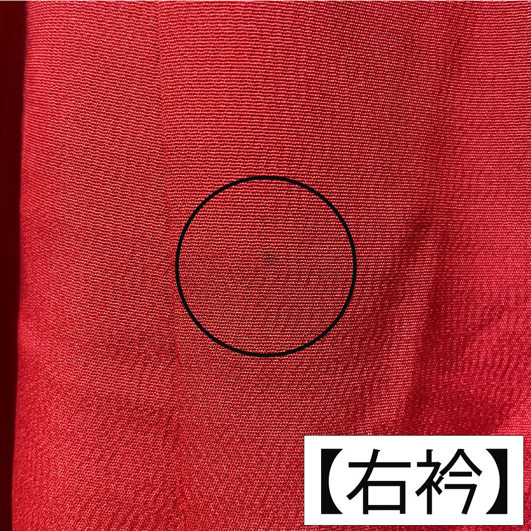 振袖 正絹 身丈161.5cm 裄丈62.5cm 袷 土耳古赤色（とるこあかいろ） 吉祥文様 Aランク 赤系 1113002023412