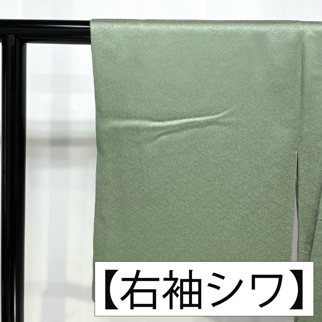 Visiting Kimono, Pure Silk, Grade A, Lined, Length 155cm, Sleeve Length 58.5cm, Back Leaf Color (Ura-iro), Mother-of-Pearl Inlay and Gold Finish, Auspicious Motifs, Tango Chirimen, Hatcho Mizu-yori, Green, Product Number: 1112007423319