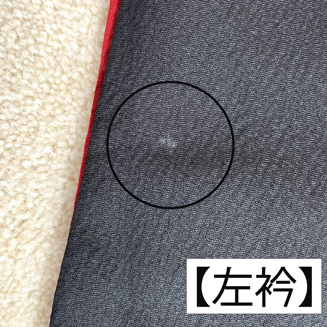 Furisode Silk A Rank Length 156.5cm Sleeve length 64cm Lined Sho-enji-iro (Deep Carmine) Kyo-Yuzen Stencil Dyed Plum Modern Sawaya Guard Red 1113002943312