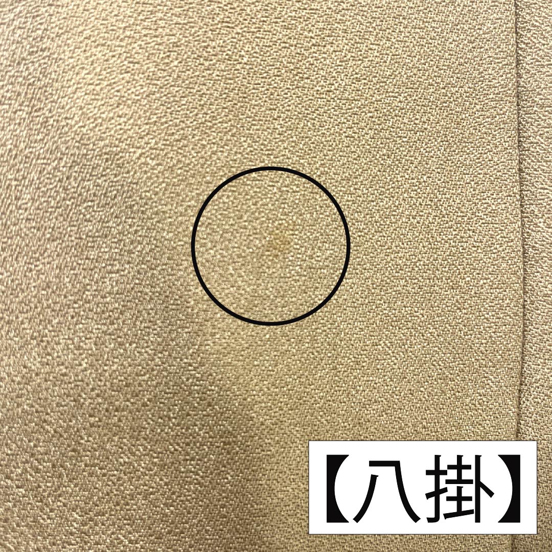 Visiting Kimono, Pure Silk, Grade A, Lined, Length 164.5cm, Sleeve Length 63cm, Light Fallen Leaf Green (Usukuchibaiiro) with Abstract Pattern, Beige, Product Number: 1112007463425